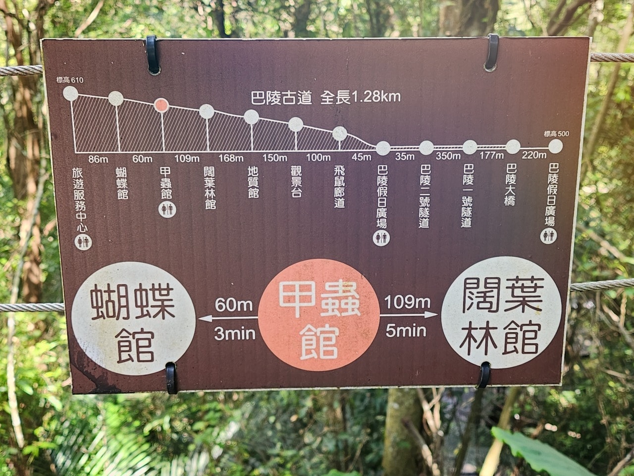 桃園復興 巴陵古道生態園區。探索12公尺高的生態探險繩索橋。