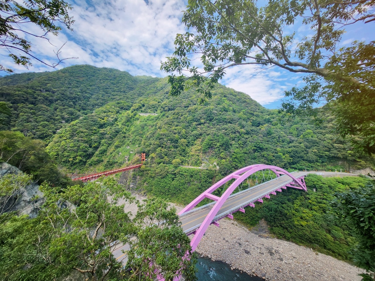 桃園復興 巴陵古道生態園區。探索12公尺高的生態探險繩索橋。