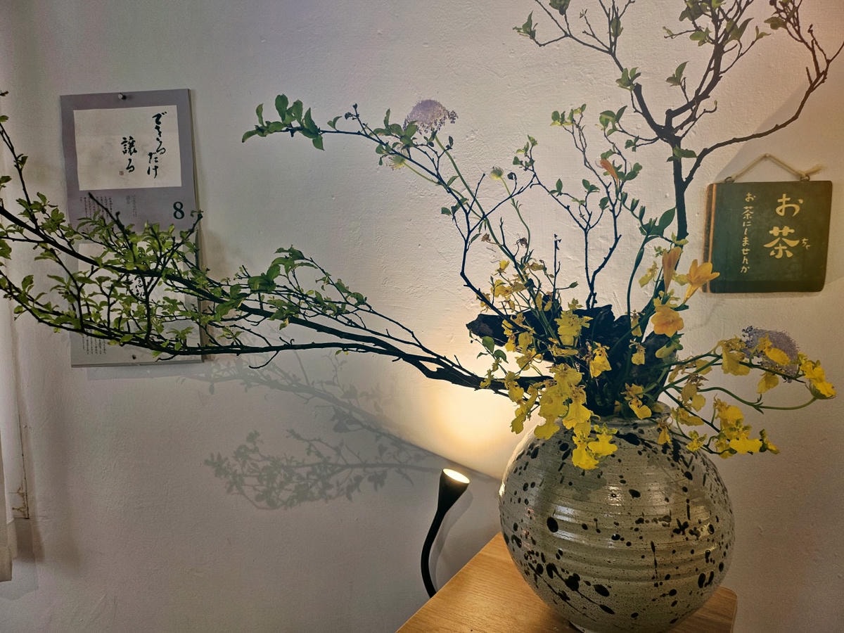 桃園中壢區 Orlax 花香氣。位於馬祖新村文創園區內，充滿花香和療癒能量的餐廳