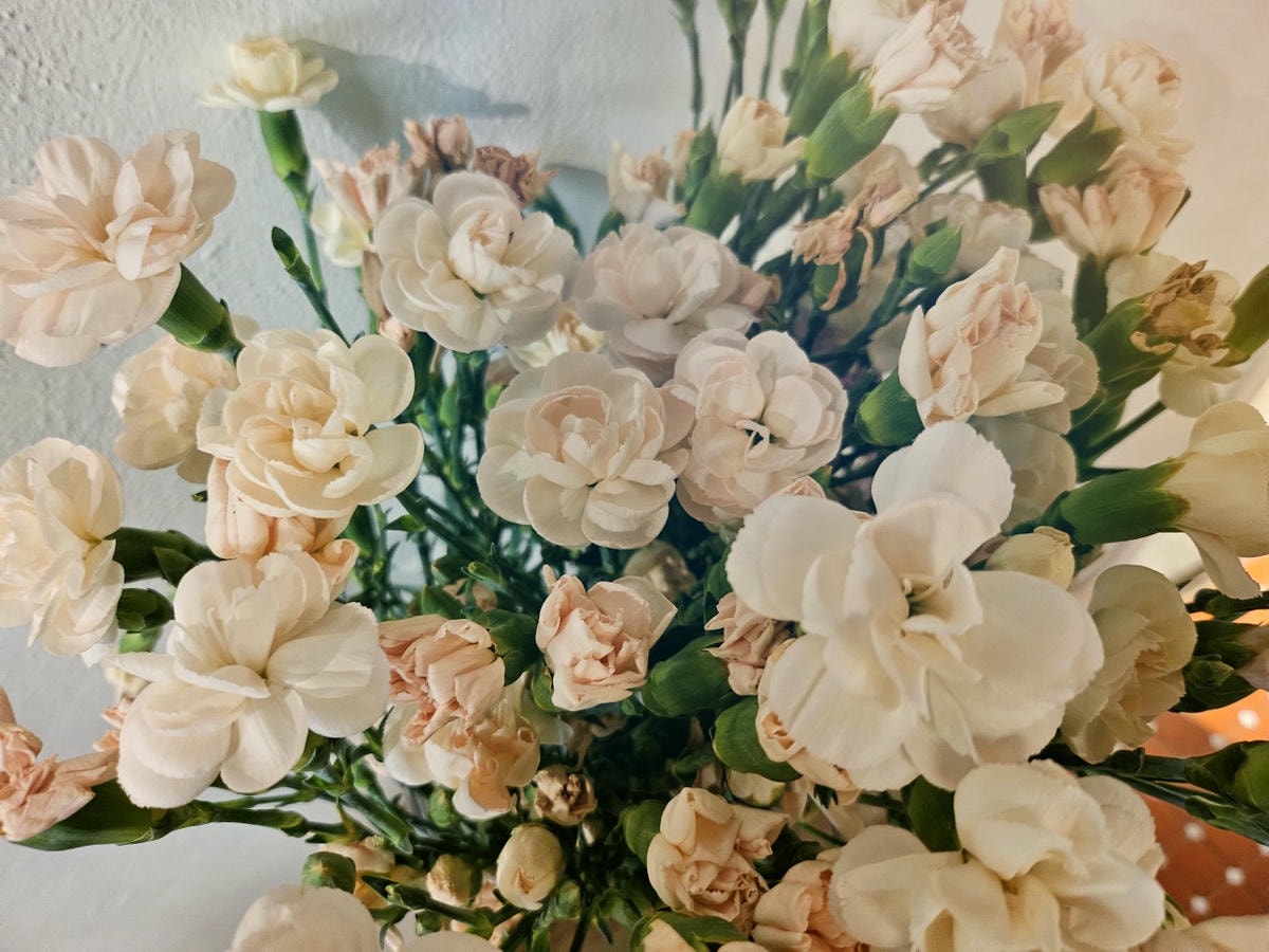 桃園中壢區 Orlax 花香氣。位於馬祖新村文創園區內，充滿花香和療癒能量的餐廳