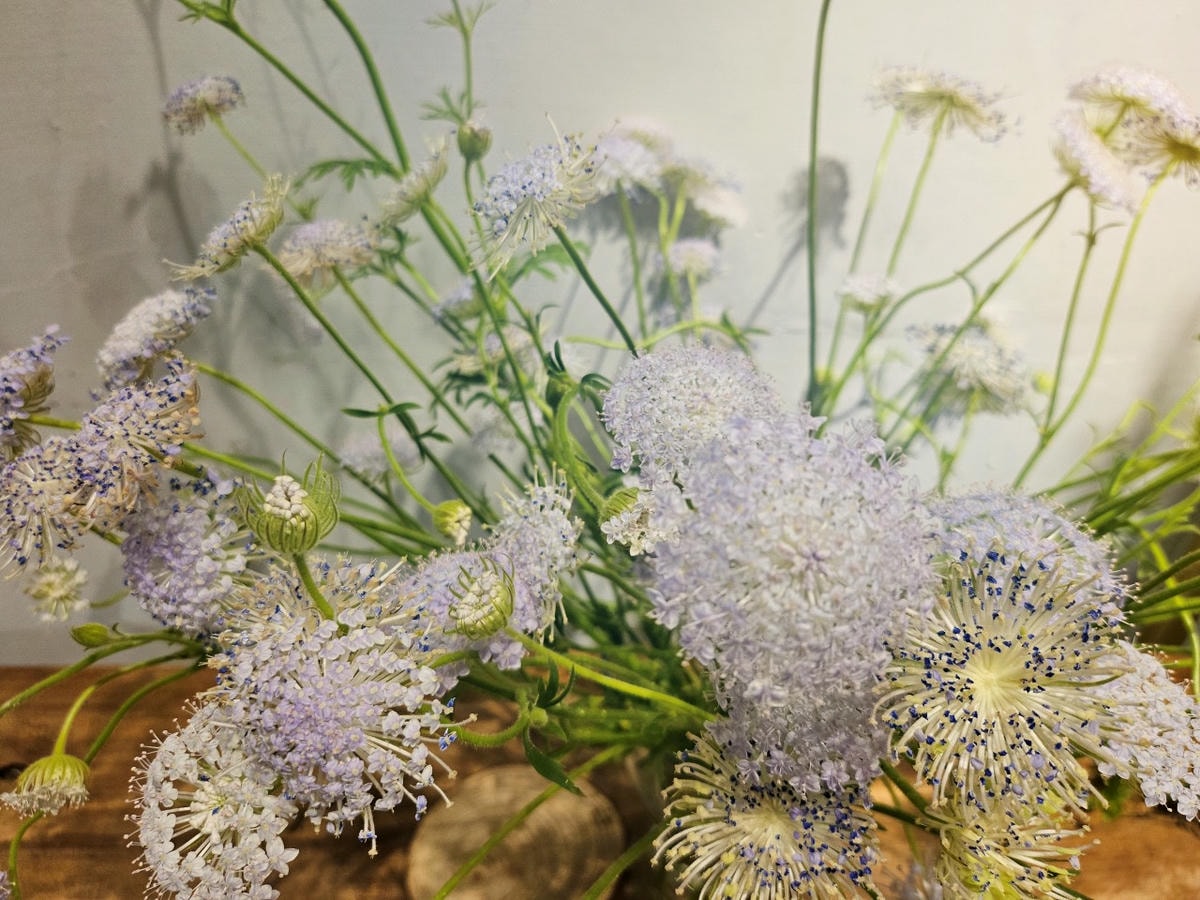 桃園中壢區 Orlax 花香氣。位於馬祖新村文創園區內，充滿花香和療癒能量的餐廳