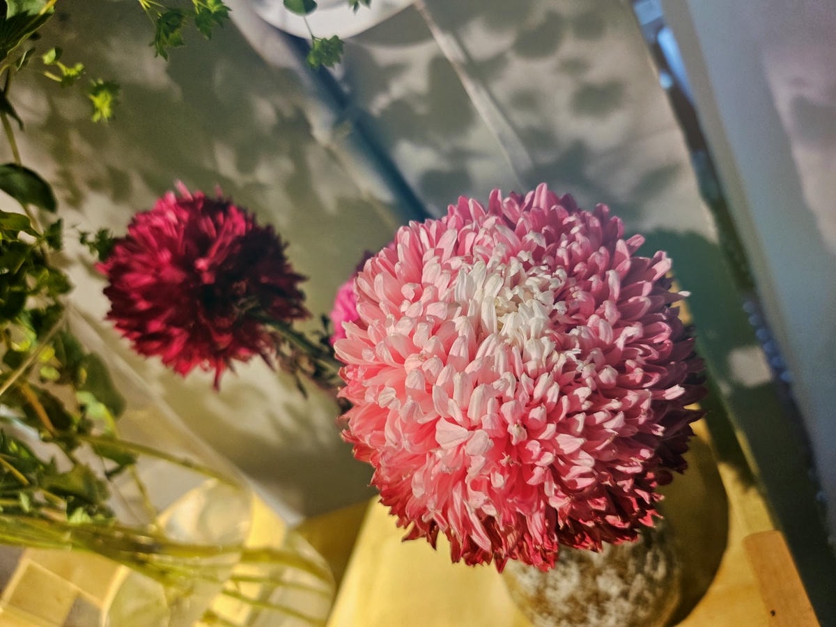 桃園中壢區 Orlax 花香氣。位於馬祖新村文創園區內，充滿花香和療癒能量的餐廳