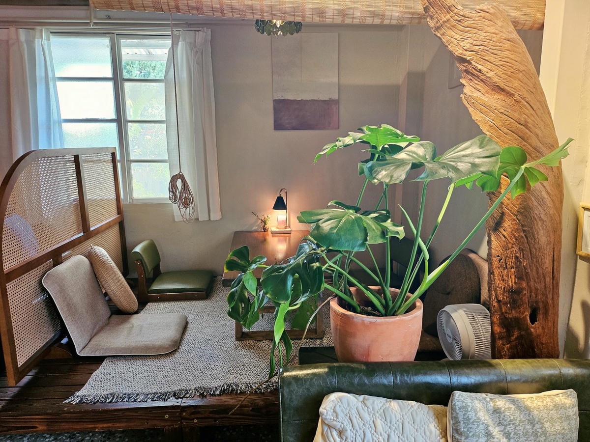桃園中壢區 Orlax 花香氣。位於馬祖新村文創園區內，充滿花香和療癒能量的餐廳