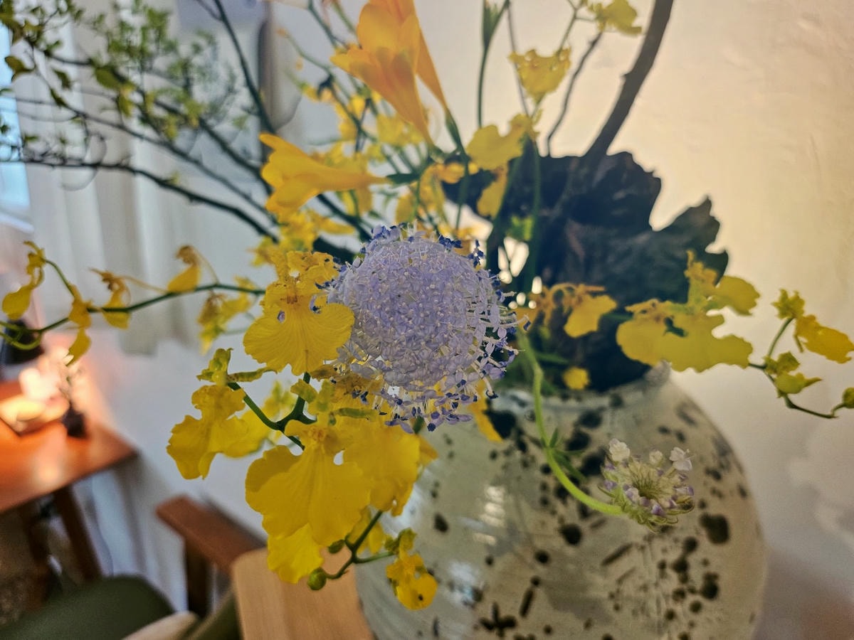 桃園中壢區 Orlax 花香氣。位於馬祖新村文創園區內，充滿花香和療癒能量的餐廳