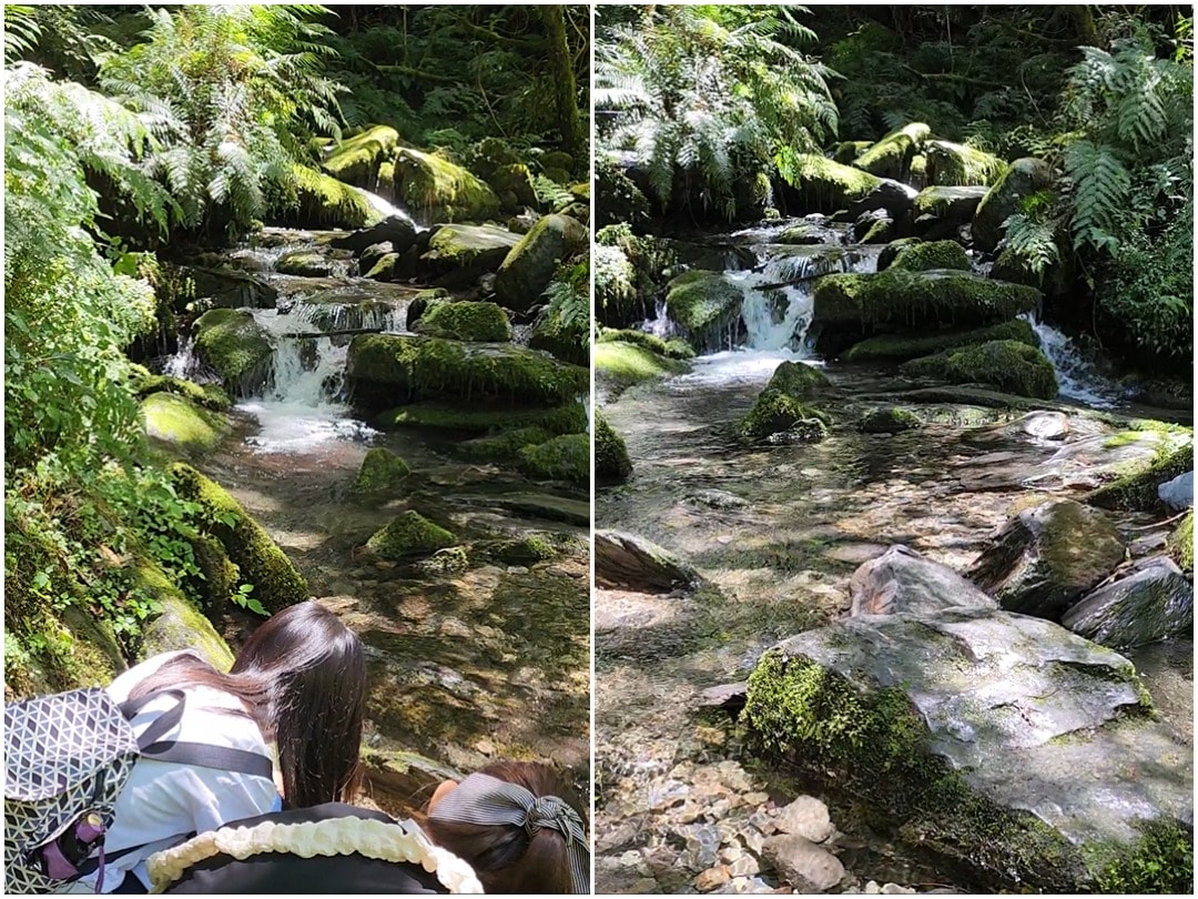 桃園復興 拉拉山巨木區/森林遊樂區。避暑勝地 拉拉山神木群步道路線圖、健行時間、可親水區域、遊客中心餐飲和兒童遊戲區