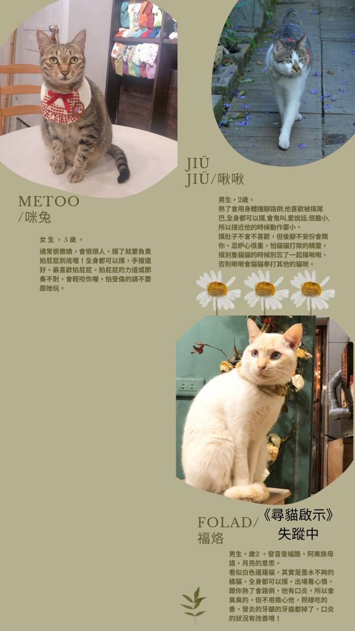中壢森林系咖啡廳。艸緣 女巫焙煎所。帶點奇幻氛圍，充滿植栽和貓咪的小小療癒空間