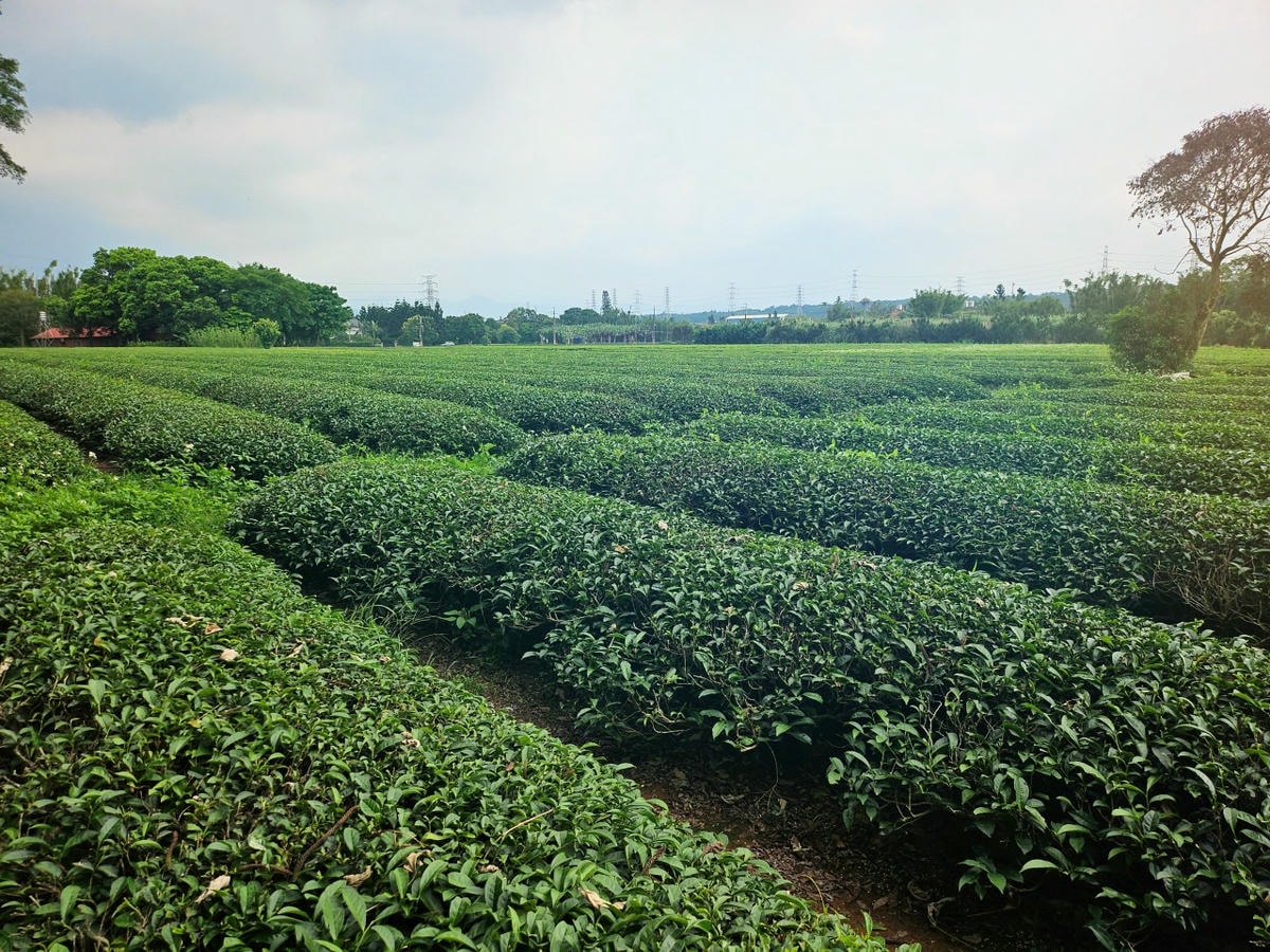 桃園龍潭 邸家咖啡 Deja Brew。歐式城堡造型外觀，餐點豐富好吃。