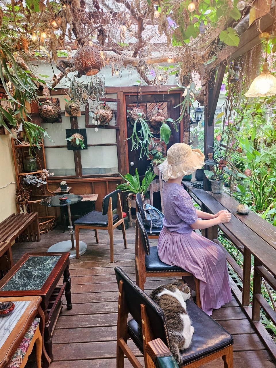 中壢森林系咖啡廳。艸緣 女巫焙煎所。帶點奇幻氛圍，充滿植栽和貓咪的小小療癒空間