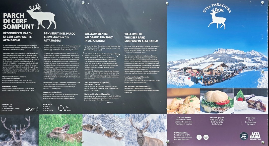 義大利 多洛米蒂景點 Parco Cervi Sompunt – Alta Badia。免費景點，風景如畫的鹿園，可以欣賞梅花鹿群和迷人景緻