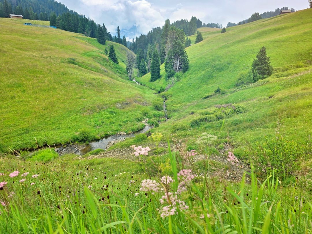 義大利多洛米蒂景點 休斯草原 Alpe di Siusi。綠色的絲絨地毯配上巍峨山景