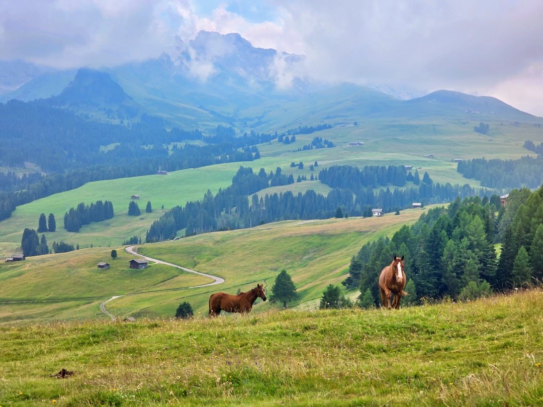 義大利多洛米蒂景點 休斯草原 Alpe di Siusi。綠色的絲絨地毯配上巍峨山景