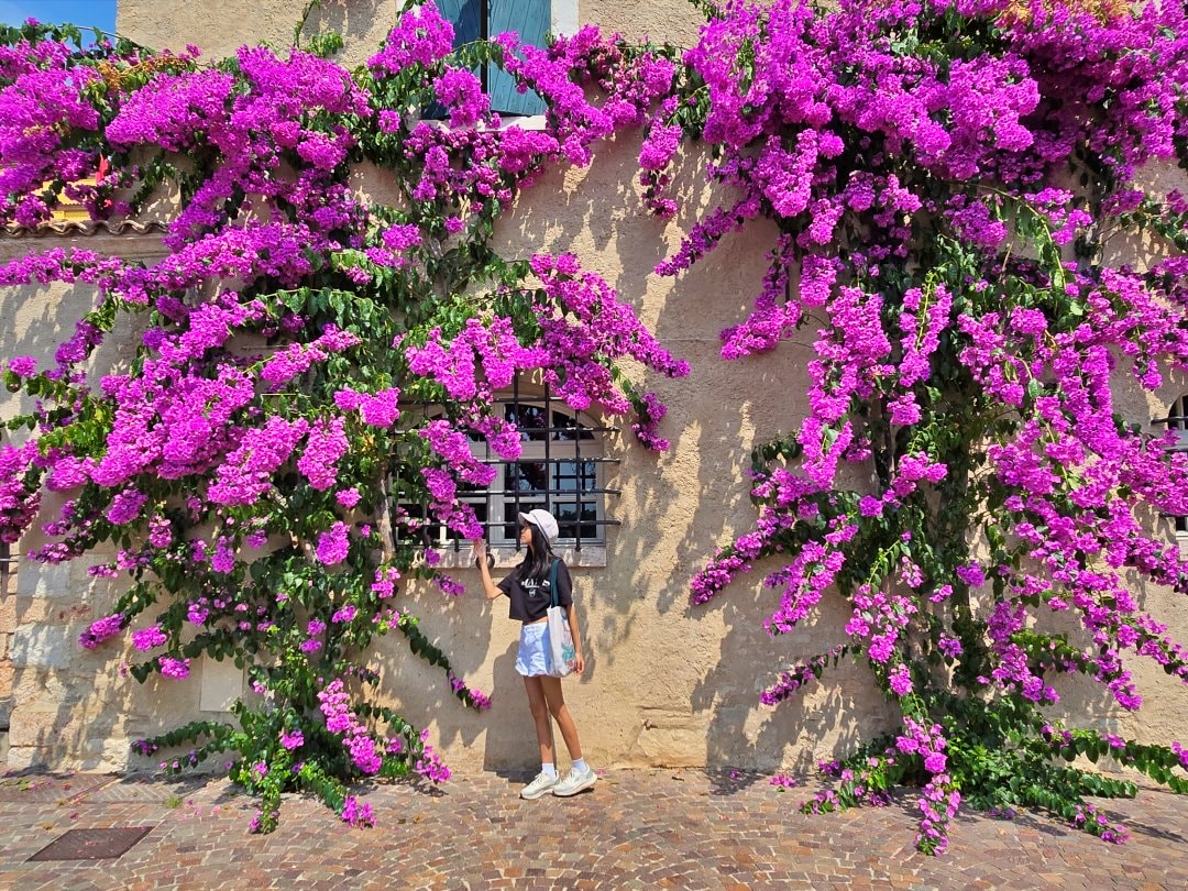 義大利勝利莊園 Vittoriale degli Italiani。在加爾達湖畔尋找義大利歷史足跡、在古典與優雅間漫步