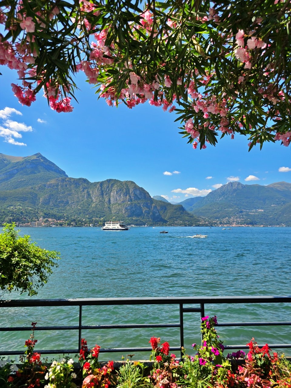 貝拉焦小鎮 Bellagio 梅爾齊別墅花園 Giardini di Villa Melzi。科莫湖畔最美貴族花園,驚豔優雅植物園與摩爾風格小亭 - 第13張圖 貝拉焦小鎮 Bellagio 梅爾齊別墅花園 Giardini di Villa Melzi。科莫湖畔最美貴族花園,驚豔優雅植物園與摩爾風格小亭
