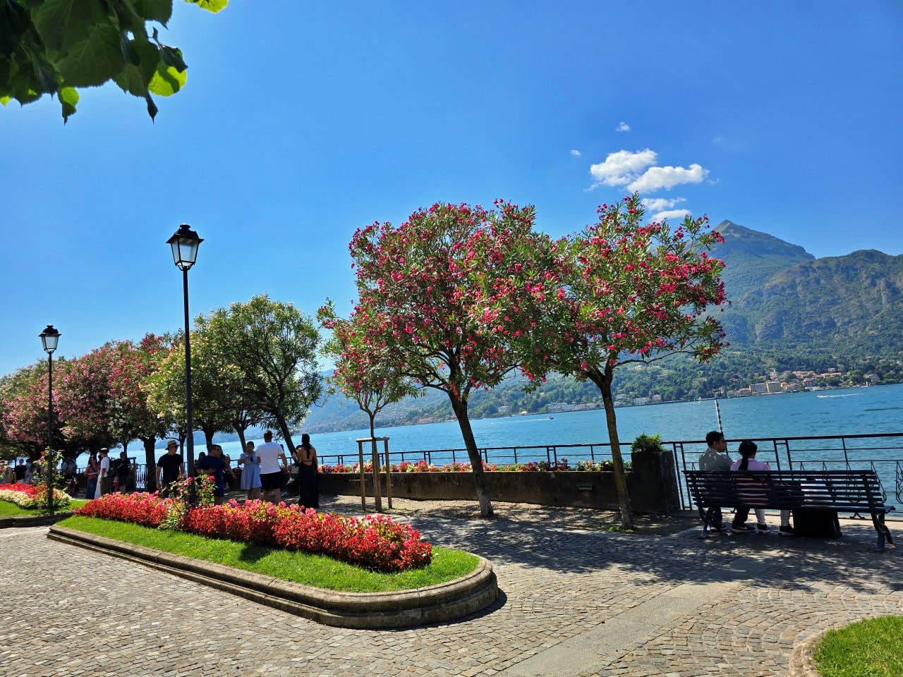 貝拉焦小鎮 Bellagio 梅爾齊別墅花園 Giardini di Villa Melzi。科莫湖畔最美貴族花園,驚豔優雅植物園與摩爾風格小亭 - 第12張圖 貝拉焦小鎮 Bellagio 梅爾齊別墅花園 Giardini di Villa Melzi。科莫湖畔最美貴族花園,驚豔優雅植物園與摩爾風格小亭