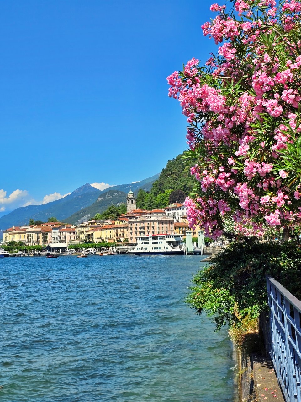 貝拉焦小鎮 Bellagio 梅爾齊別墅花園 Giardini di Villa Melzi。科莫湖畔最美貴族花園,驚豔優雅植物園與摩爾風格小亭 - 第14張圖 貝拉焦小鎮 Bellagio 梅爾齊別墅花園 Giardini di Villa Melzi。科莫湖畔最美貴族花園,驚豔優雅植物園與摩爾風格小亭