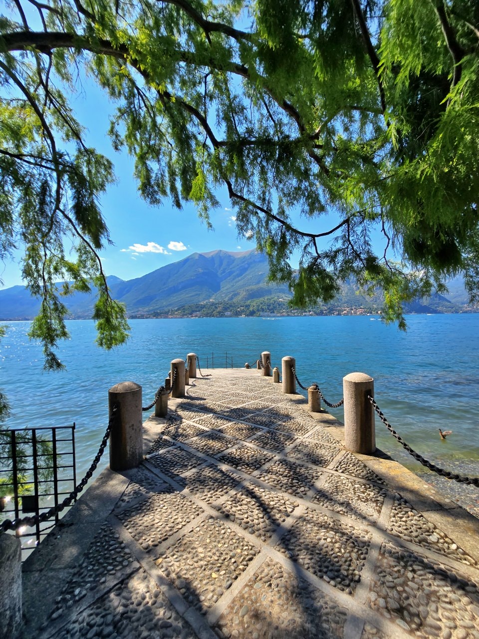 貝拉焦小鎮 Bellagio 梅爾齊別墅花園 Giardini di Villa Melzi。科莫湖畔最美貴族花園,驚豔優雅植物園與摩爾風格小亭 - 第10張圖 貝拉焦小鎮 Bellagio 梅爾齊別墅花園 Giardini di Villa Melzi。科莫湖畔最美貴族花園,驚豔優雅植物園與摩爾風格小亭