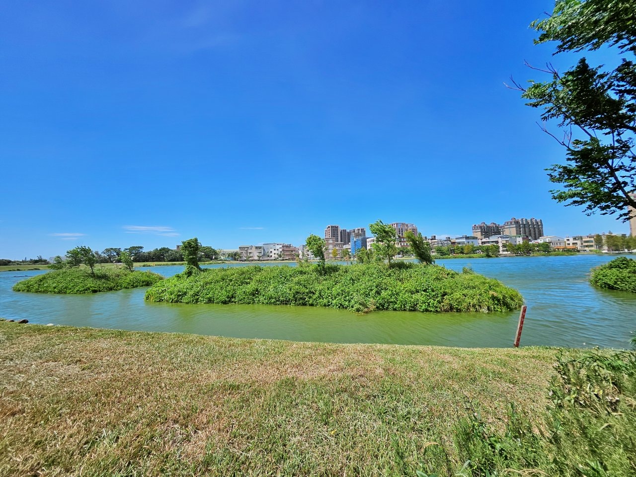 桃園大園 華興池生態埤塘公園:湖畔玻璃屋喬寓咖啡、落羽松美景、超酷下沉式步道和冒險兒童遊戲場 - 第8張圖 桃園大園 華興池生態埤塘公園:湖畔玻璃屋喬寓咖啡、落羽松美景、超酷下沉式步道和冒險兒童遊戲場