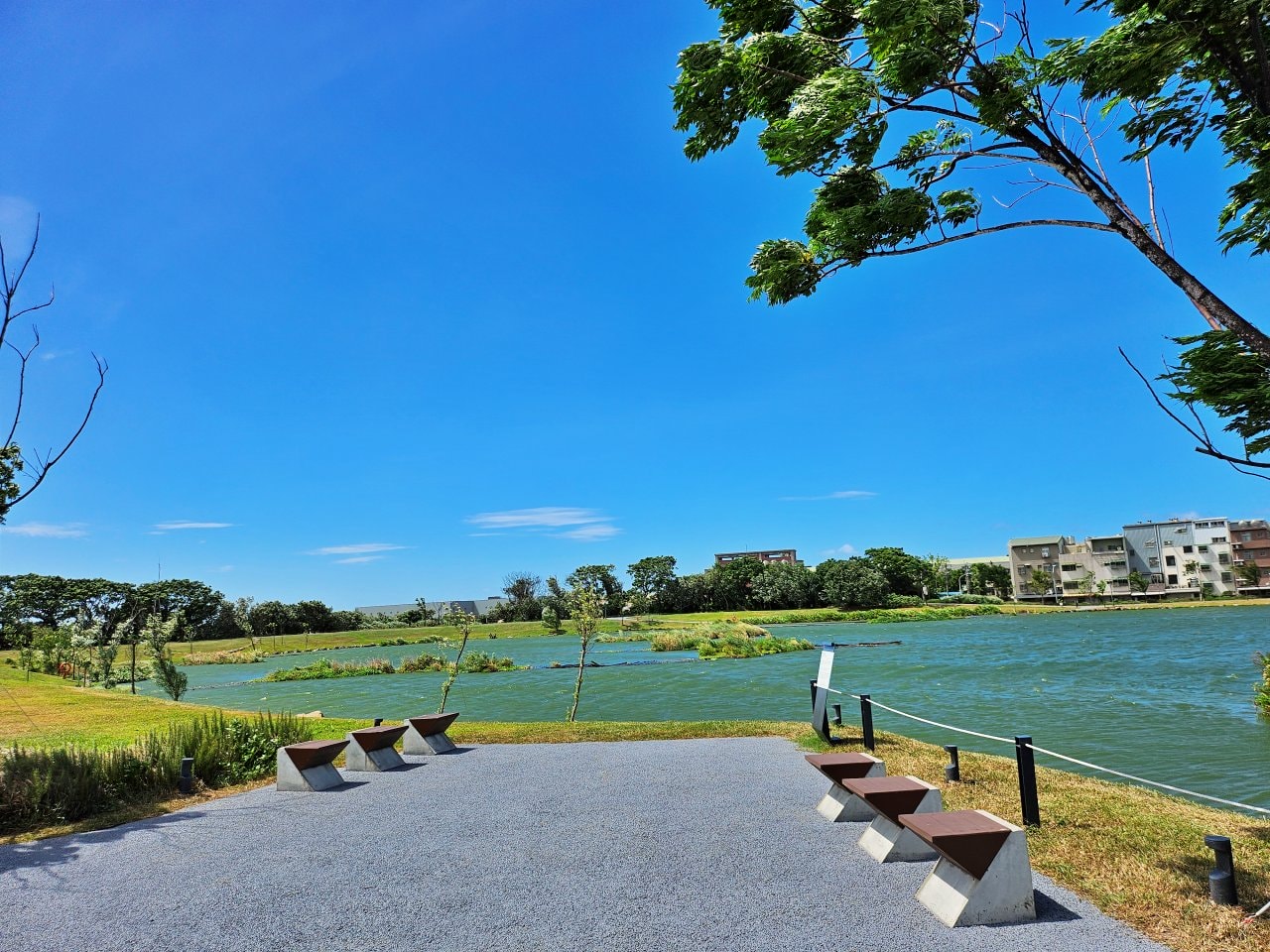 桃園大園 華興池生態埤塘公園:湖畔玻璃屋喬寓咖啡、落羽松美景、超酷下沉式步道和冒險兒童遊戲場 - 第7張圖 桃園大園 華興池生態埤塘公園:湖畔玻璃屋喬寓咖啡、落羽松美景、超酷下沉式步道和冒險兒童遊戲場