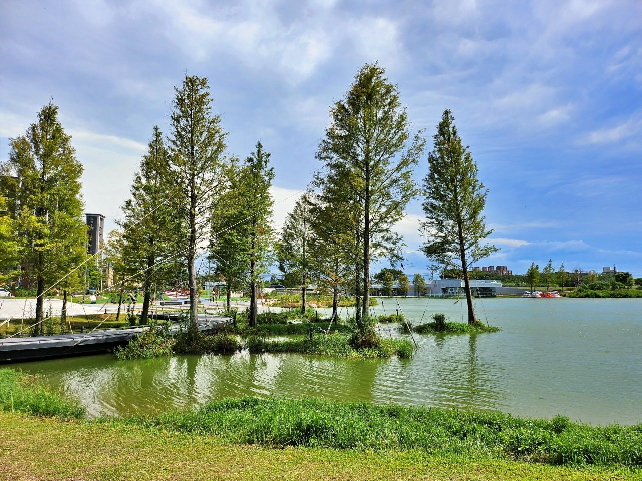 桃園大園 華興池生態埤塘公園:湖畔玻璃屋喬寓咖啡、落羽松美景、超酷下沉式步道和冒險兒童遊戲場 - 第12張圖 桃園大園 華興池生態埤塘公園:湖畔玻璃屋喬寓咖啡、落羽松美景、超酷下沉式步道和冒險兒童遊戲場
