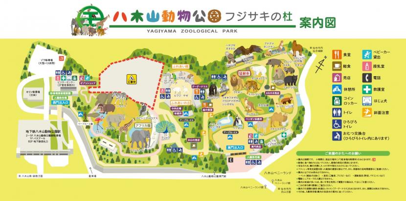 仙台市八木山動物公園。仙台親子半日遊推薦，交通超方便的動物園散步時光