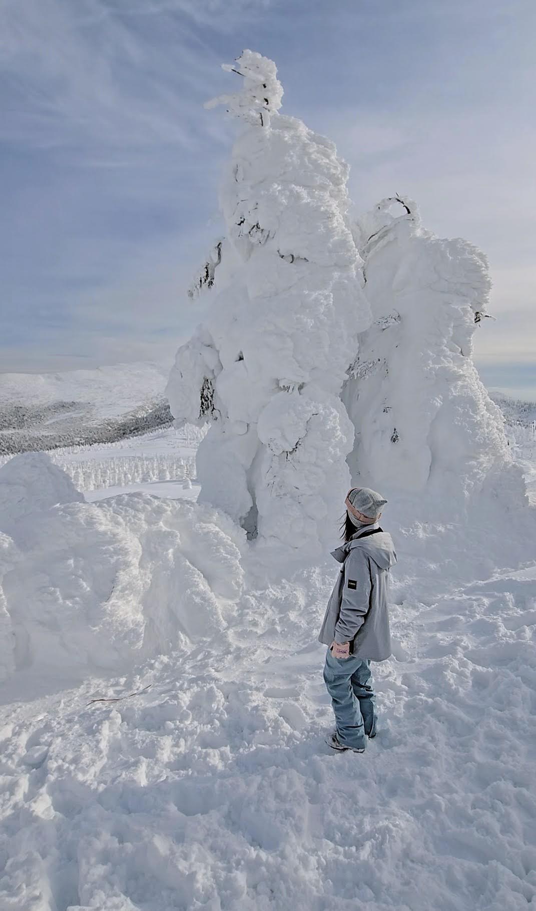 宮城藏王樹冰 澄川雪樂園 。避開人潮和暴風雪，晴天機率高，又不用排隊的藏王樹冰選擇
