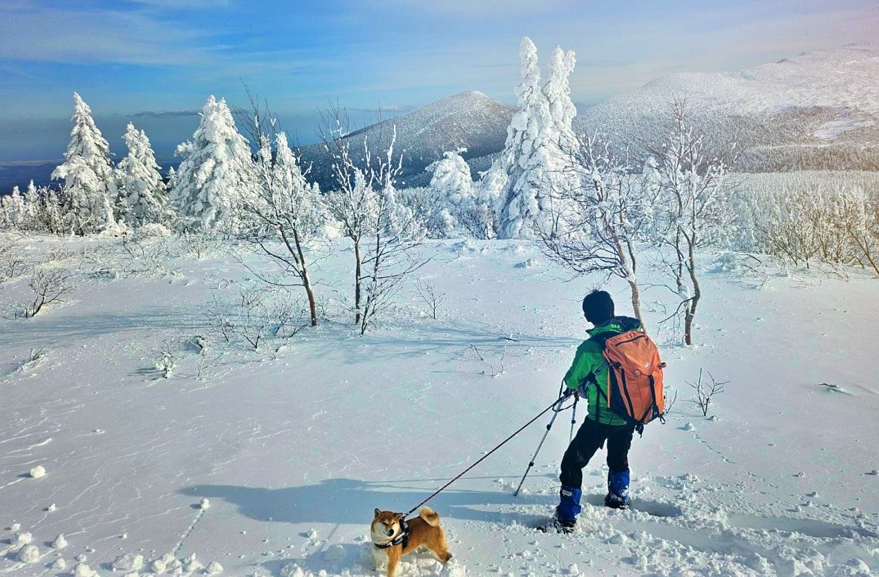 宮城藏王樹冰 澄川雪樂園 。避開人潮和暴風雪，晴天機率高，又不用排隊的藏王樹冰選擇
