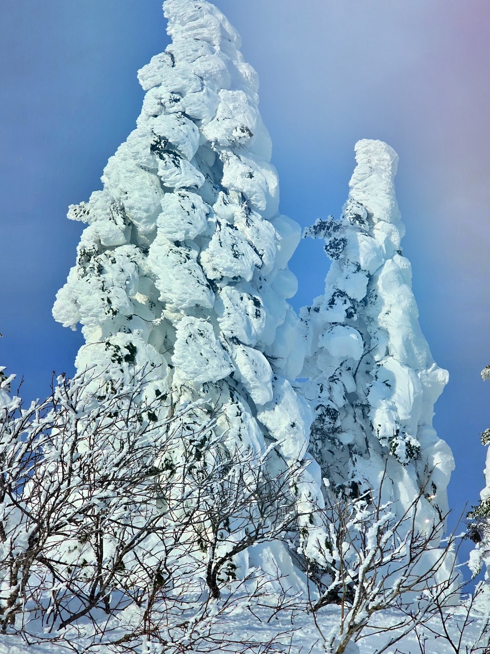宮城藏王樹冰 澄川雪樂園 。避開人潮和暴風雪，晴天機率高，又不用排隊的藏王樹冰選擇