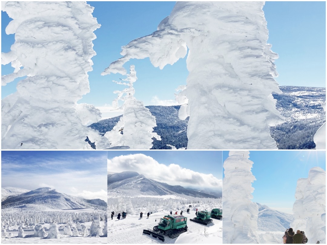 冬季東北滑雪賞雪行程:  仙台、 八幡平全景滑雪場、 宮城藏王樹冰、藏王狐狸村