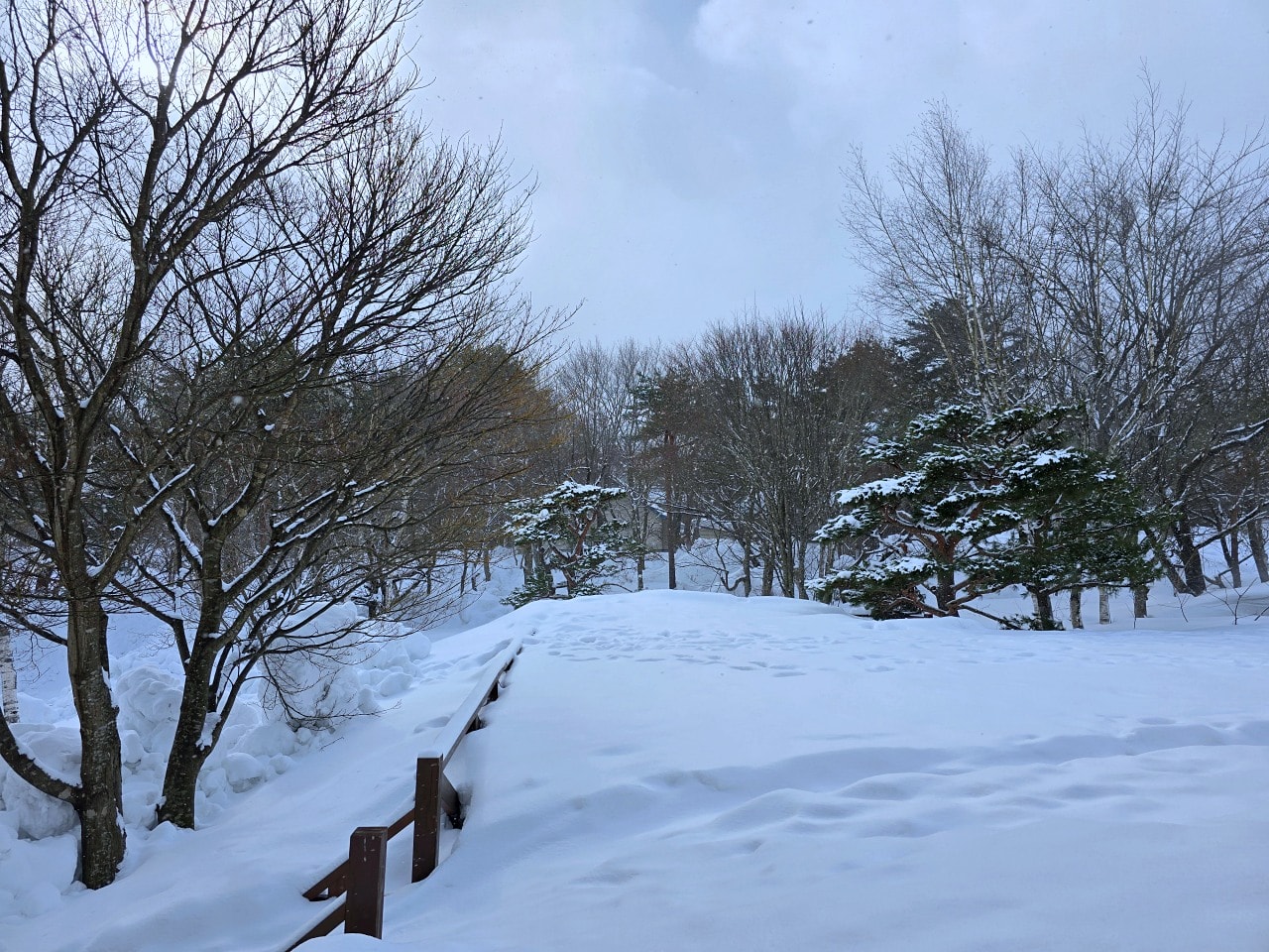 八幡平高地酒店。曾接待過天皇的傳統溫泉旅館，離八幡平全景滑雪場五分鐘車程。