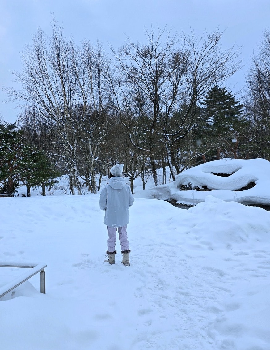 八幡平高地酒店。曾接待過天皇的傳統溫泉旅館，離八幡平全景滑雪場五分鐘車程。