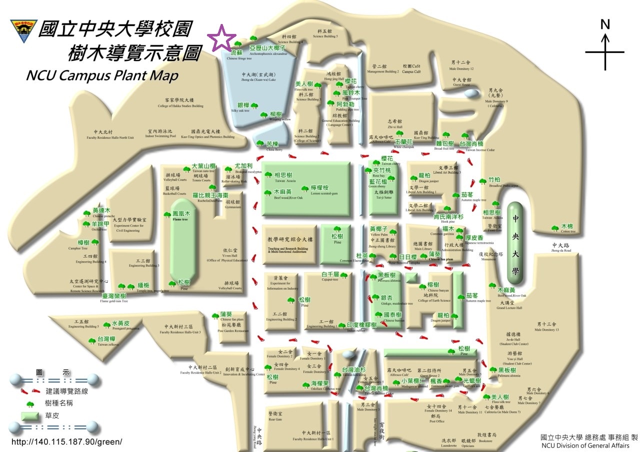 中央大學賞花地圖。春日散策，從粉嫩櫻花季到湖畔雪白流蘇