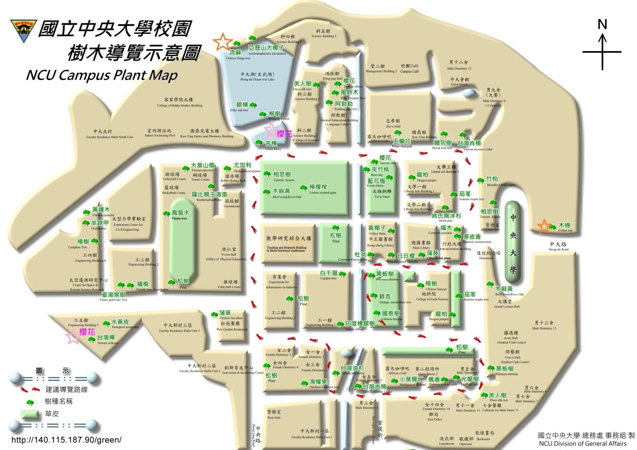 中央大學賞花地圖。春日散策，從粉嫩櫻花季到湖畔雪白流蘇