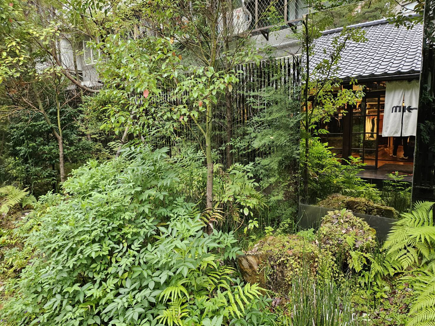 台北大安區 0km山物所：百年日式町屋，隱身市中心的台灣山林系療癒秘境