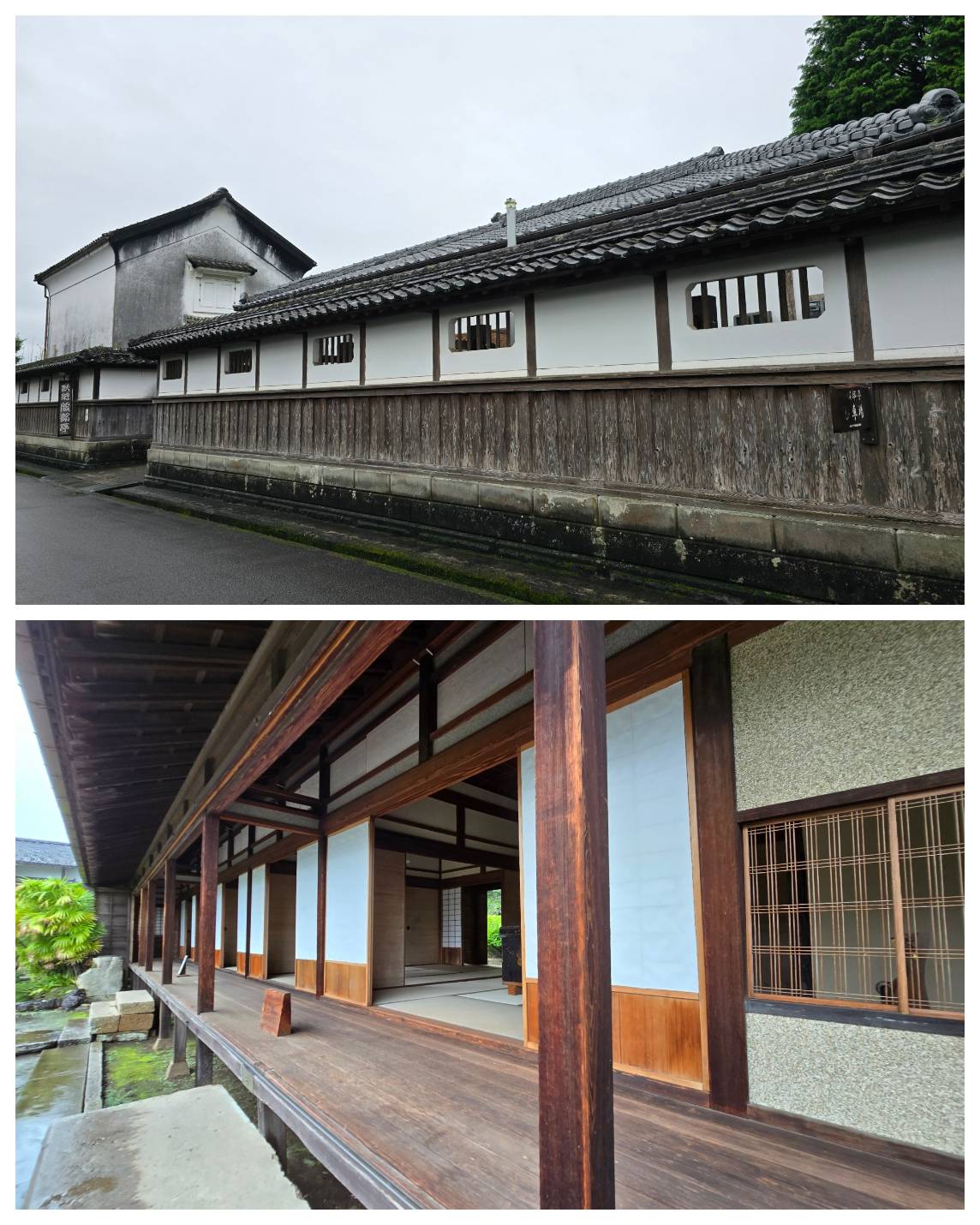 2026初夏 南九州慢活極致之旅: 從熊本出發、天草、高千穗、日南海岸到霧島 行程筆記