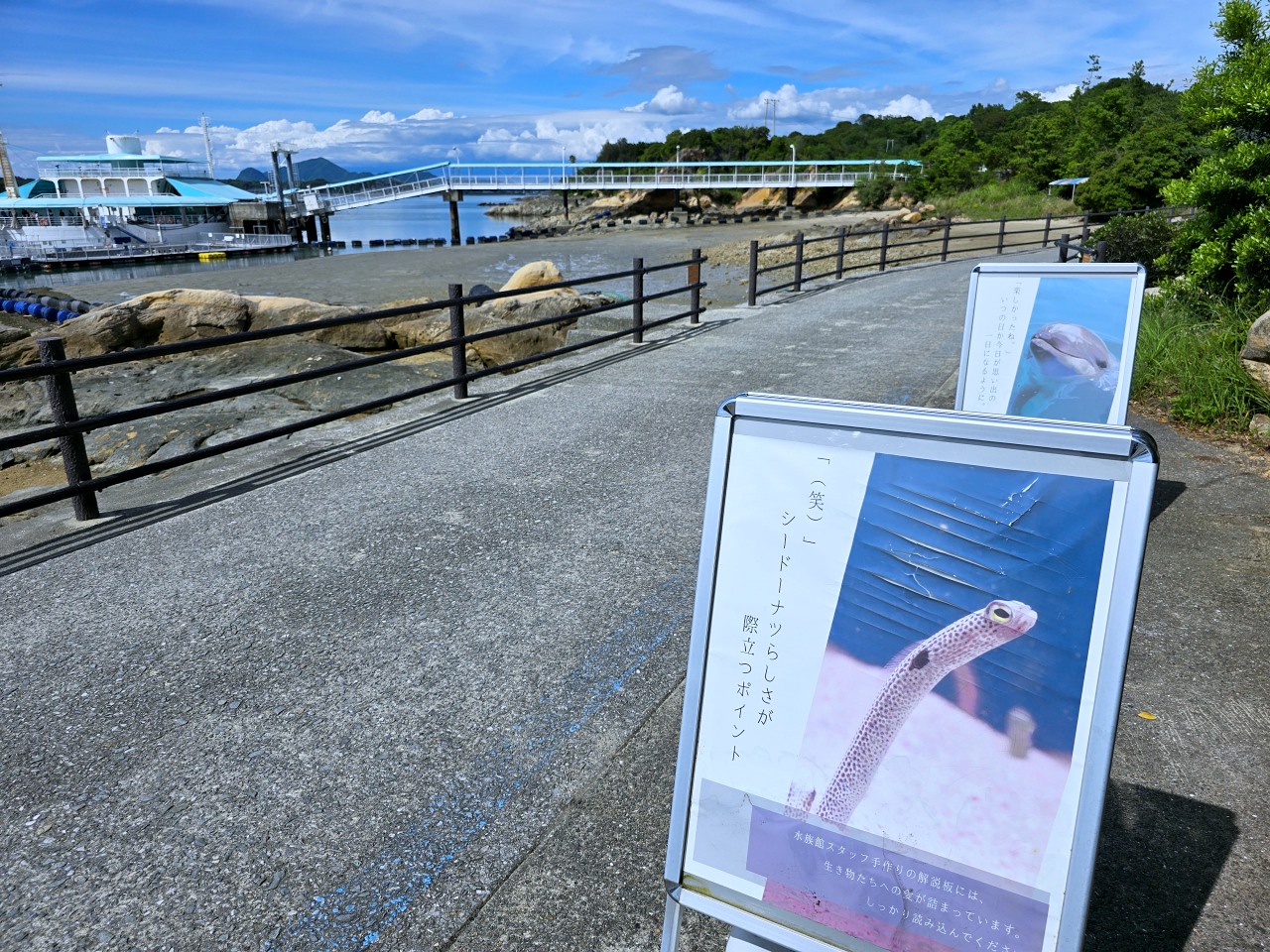 九州熊本 天草珍珠中心 & Wakuwaku 海中水族館 海洋甜甜圈。漂浮海上的圓形水族館、近距離和海豚互動