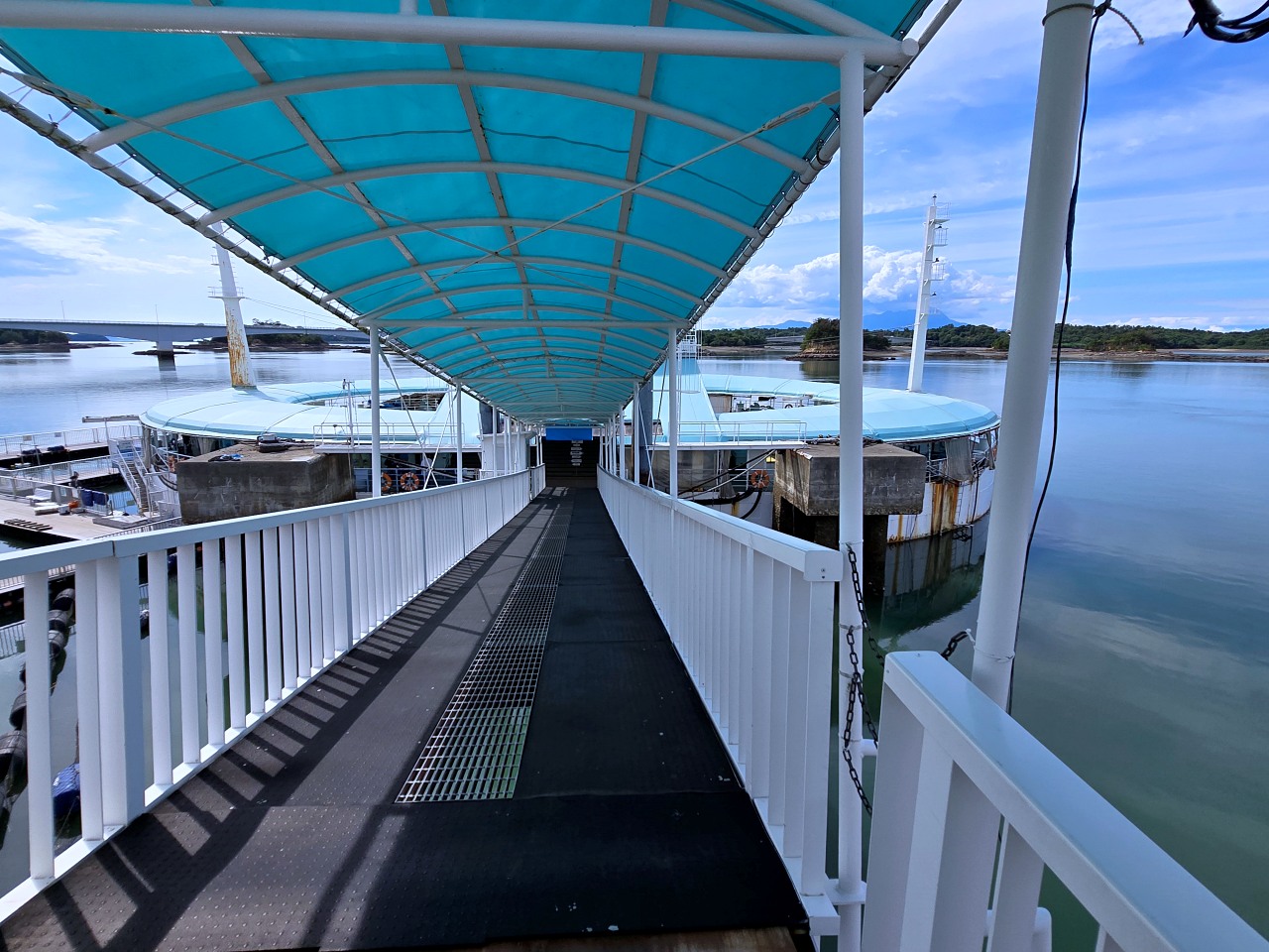 九州熊本 天草珍珠中心 & Wakuwaku 海中水族館 海洋甜甜圈。漂浮海上的圓形水族館、近距離和海豚互動