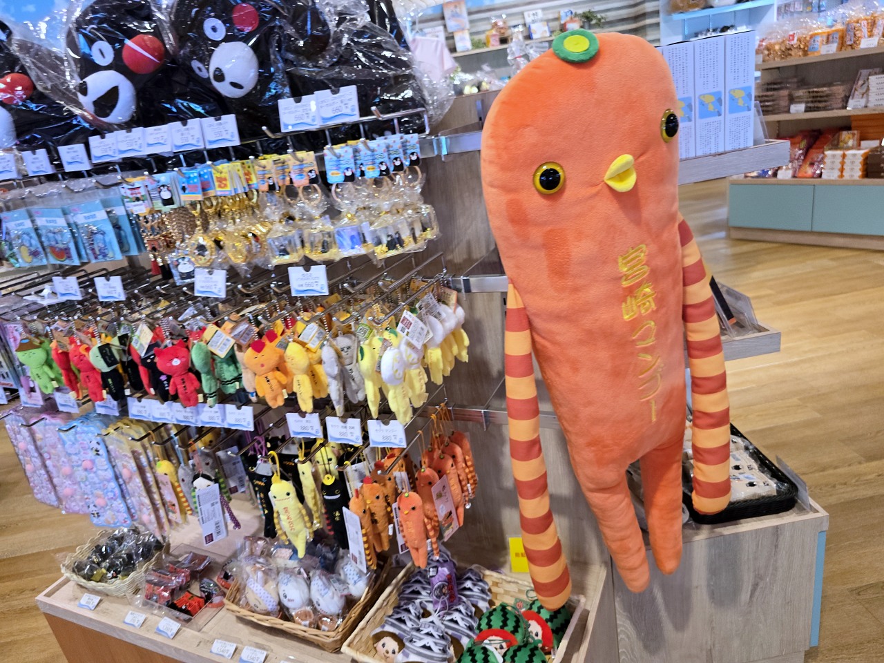 九州熊本 天草珍珠中心 & Wakuwaku 海中水族館 海洋甜甜圈。漂浮海上的圓形水族館、近距離和海豚互動