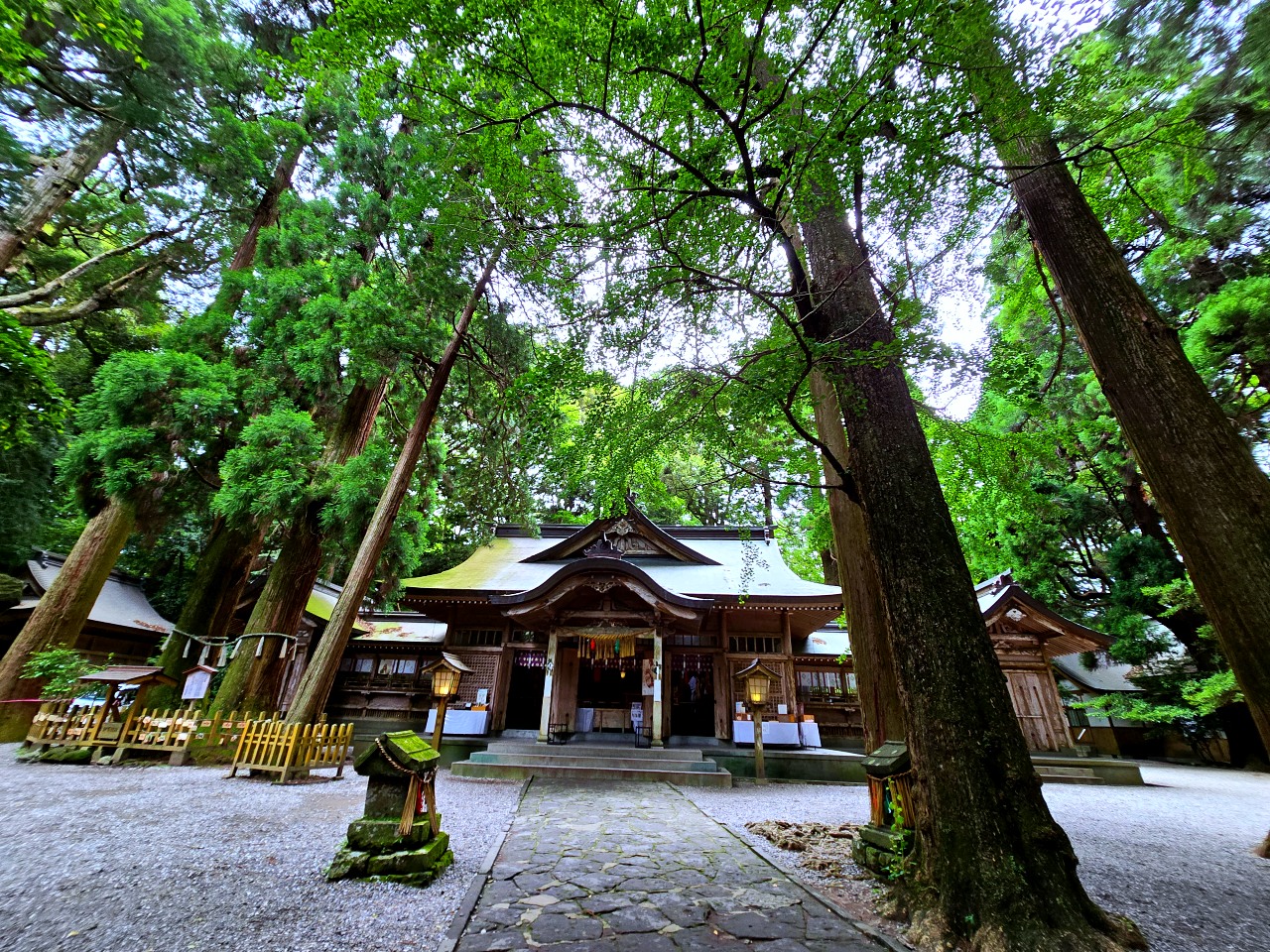 宮崎 高千穗神社: 尋訪日本頂級能量景點，漫步巨杉林、夜神樂體驗