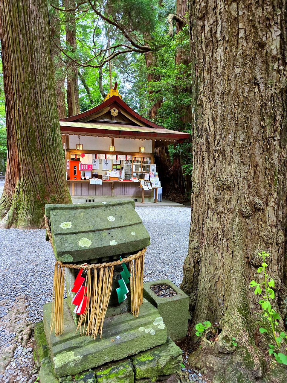 宮崎 高千穗神社: 尋訪日本頂級能量景點，漫步巨杉林、夜神樂體驗