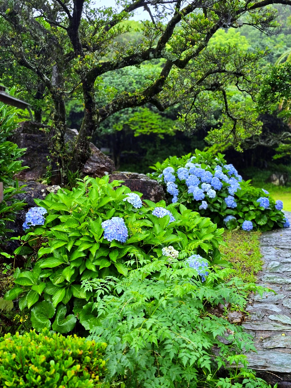 九州 宮崎縣大御神社 驚艷壯麗海景與神秘昇龍海蝕洞窟 - 第10張圖 九州 宮崎縣大御神社 驚艷壯麗海景與神秘昇龍海蝕洞窟