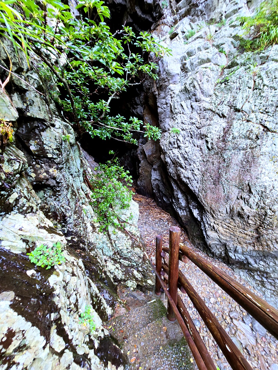 九州 宮崎縣大御神社 驚艷壯麗海景與神秘昇龍海蝕洞窟 - 第13張圖 九州 宮崎縣大御神社 驚艷壯麗海景與神秘昇龍海蝕洞窟
