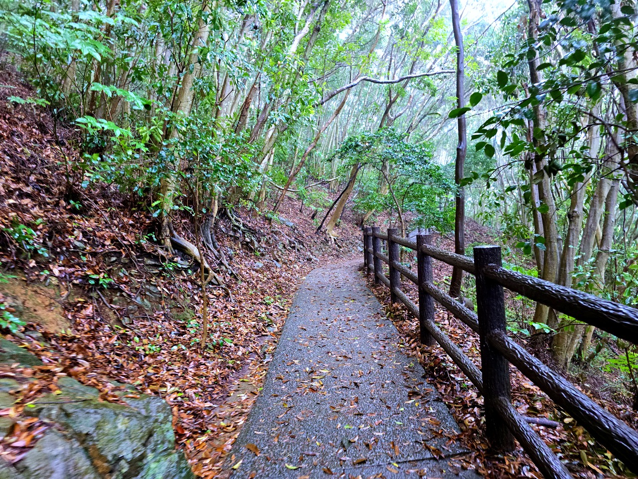宮崎縣 日向岬 馬背: 大自然的鬼斧神工！彷彿置身世界盡頭的斷崖絕景