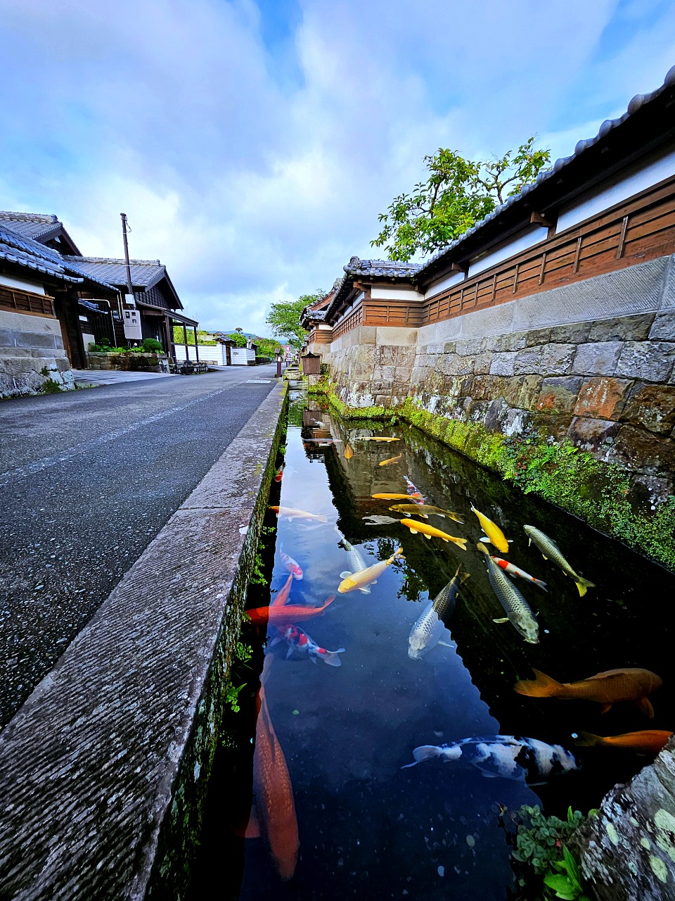 宮崎縣日南市 飫肥城 Obi: 在靜謐的九州小京都、漫步江戶時代城下町、看鯉魚悠遊清澈水渠
