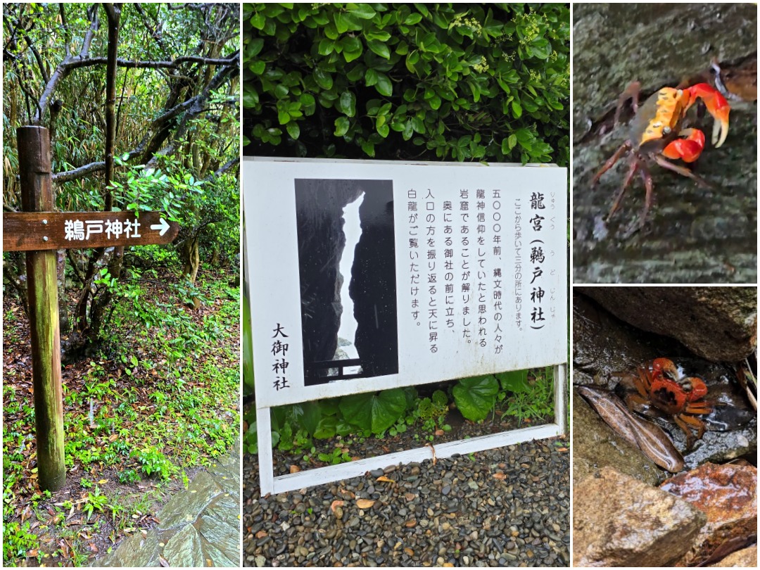 九州 宮崎縣大御神社 驚艷壯麗海景與神秘昇龍海蝕洞窟 - 第18張圖 九州 宮崎縣大御神社 驚艷壯麗海景與神秘昇龍海蝕洞窟