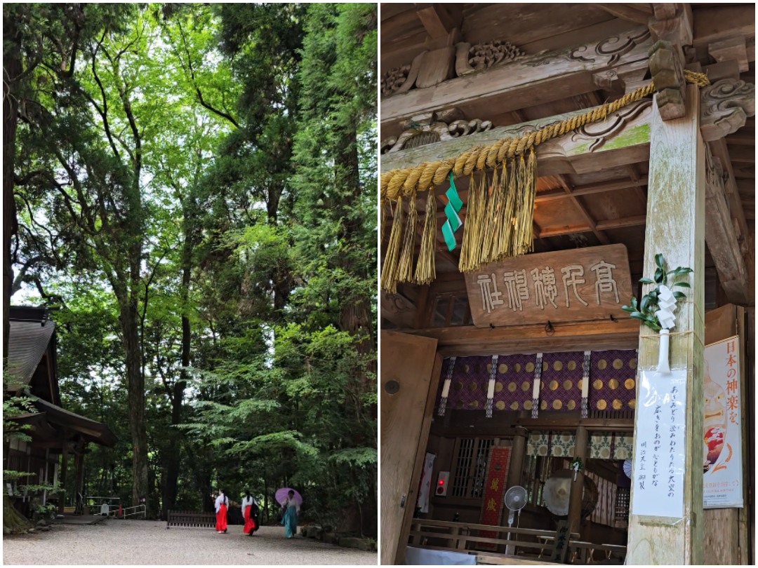 宮崎 高千穗神社: 尋訪日本頂級能量景點，漫步巨杉林、夜神樂體驗